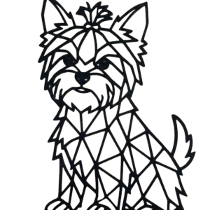 Yorkshire Terrier 1